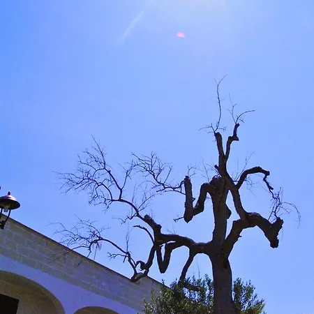 La Lucia