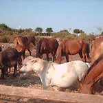La Lucia Sant Isidoro (Apulia)