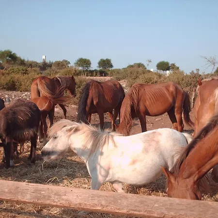 La Lucia Sant Isidoro (Apulia)